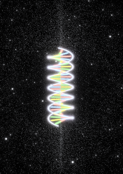 Anteprima stampa lenticolare — visione statica